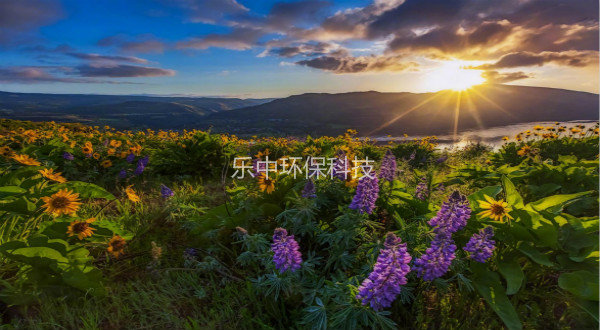 污水處理廠活性污泥法日常管理中，需要監測與注意的參數-樂中環保